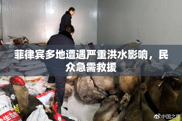 菲律宾多地遭遇严重洪水影响，民众急需救援