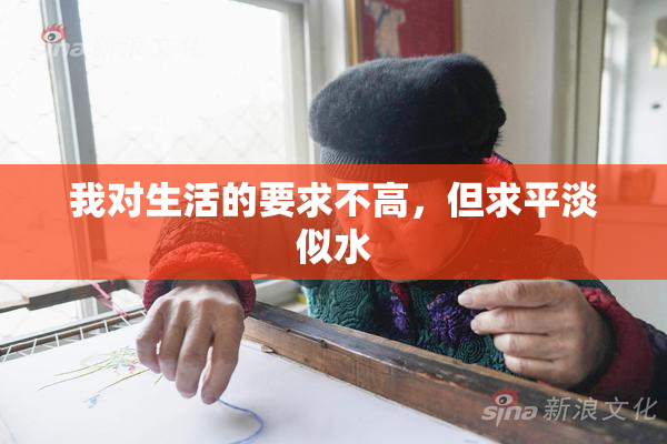 我对生活的要求不高，但求平淡似水