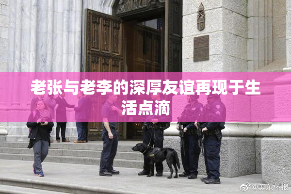 老张与老李的深厚友谊再现于生活点滴