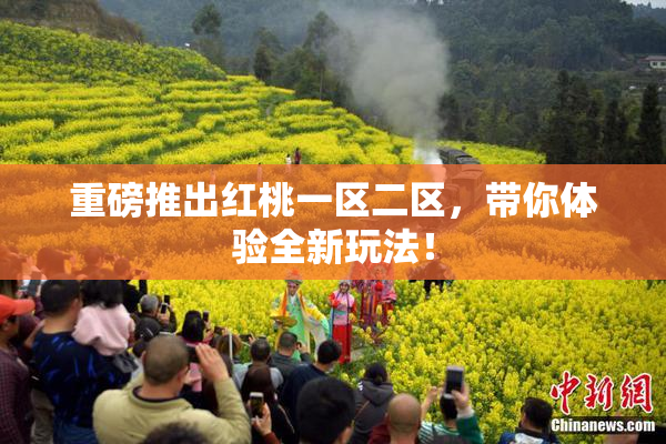 重磅推出红桃一区二区，带你体验全新玩法！