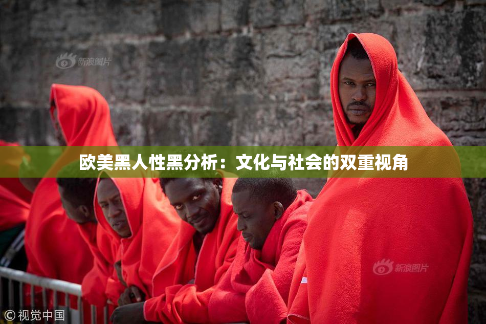 欧美黑人性黑分析：文化与社会的双重视角