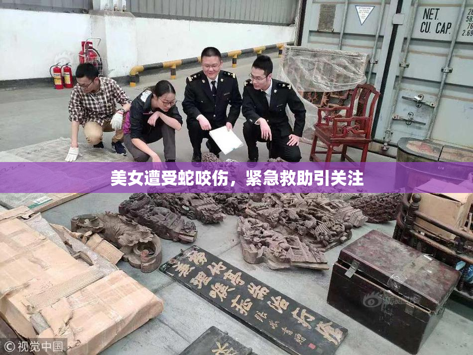 美女遭受蛇咬伤，紧急救助引关注