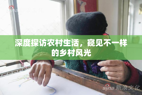深度探访农村生活，窥见不一样的乡村风光