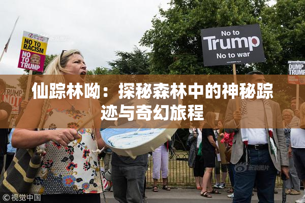 仙踪林呦：探秘森林中的神秘踪迹与奇幻旅程