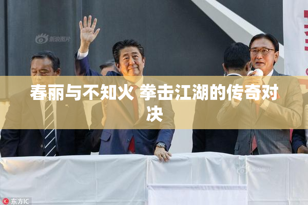 春丽与不知火 拳击江湖的传奇对决