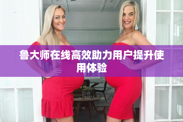 鲁大师在线高效助力用户提升使用体验
