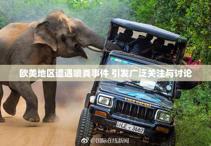 欧美地区遭遇喷粪事件 引发广泛关注与讨论