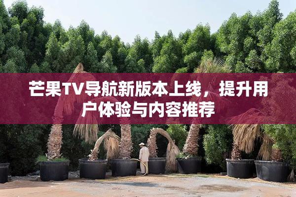 芒果TV导航新版本上线，提升用户体验与内容推荐