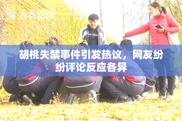 胡桃失禁事件引发热议，网友纷纷评论反应各异