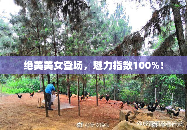 绝美美女登场，魅力指数100%！