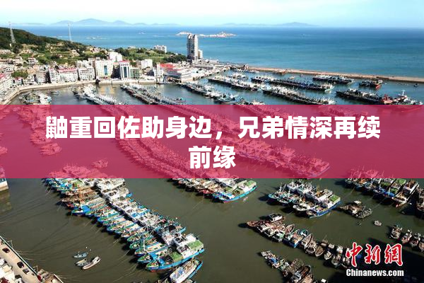 鼬重回佐助身边，兄弟情深再续前缘