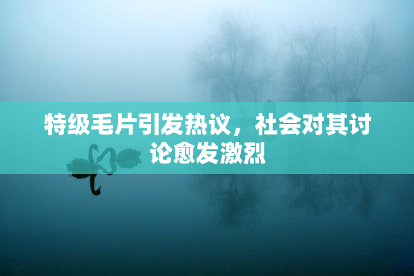特级毛片引发热议，社会对其讨论愈发激烈