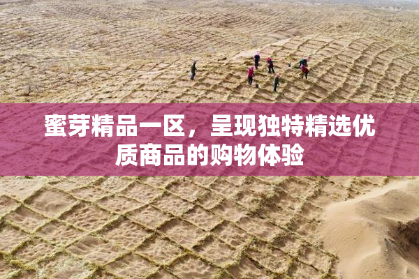 蜜芽精品一区，呈现独特精选优质商品的购物体验
