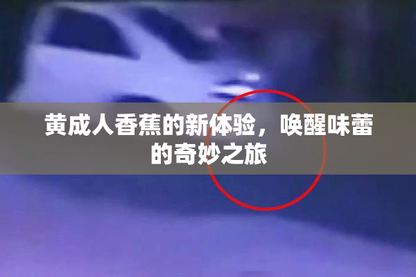 黄成人香蕉的新体验，唤醒味蕾的奇妙之旅