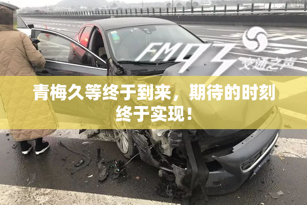 青梅久等终于到来，期待的时刻终于实现！