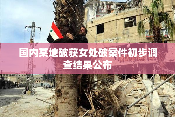 国内某地破获女处破案件初步调查结果公布