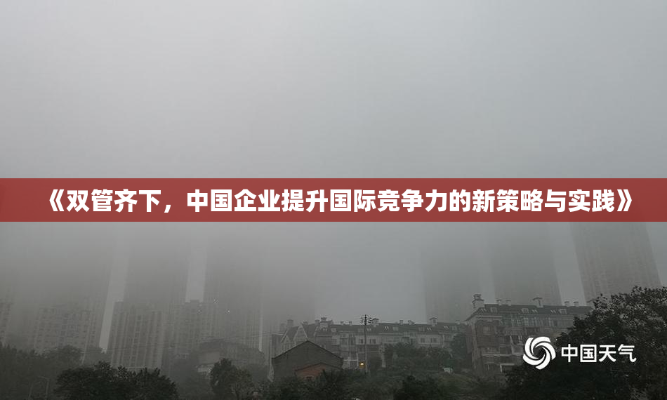 《双管齐下，中国企业提升国际竞争力的新策略与实践》