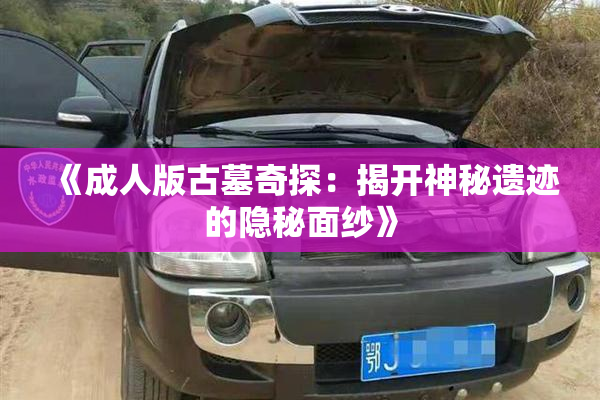 《成人版古墓奇探：揭开神秘遗迹的隐秘面纱》