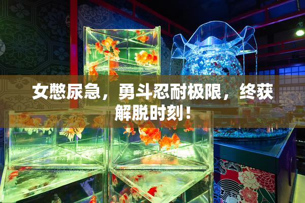 女憋尿急，勇斗忍耐极限，终获解脱时刻！