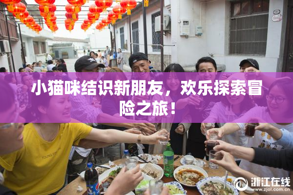 小猫咪结识新朋友，欢乐探索冒险之旅！