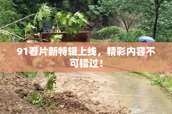 91看片新特辑上线，精彩内容不可错过！