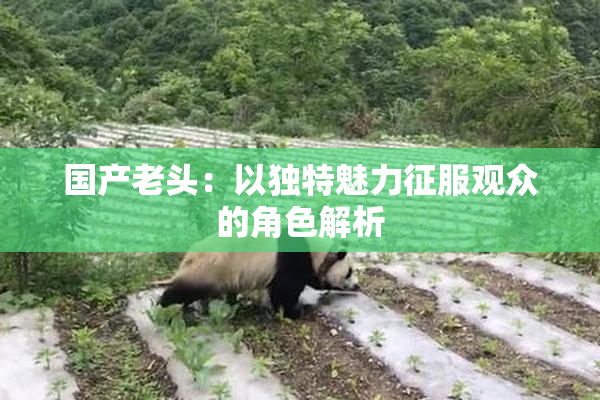 国产老头：以独特魅力征服观众的角色解析