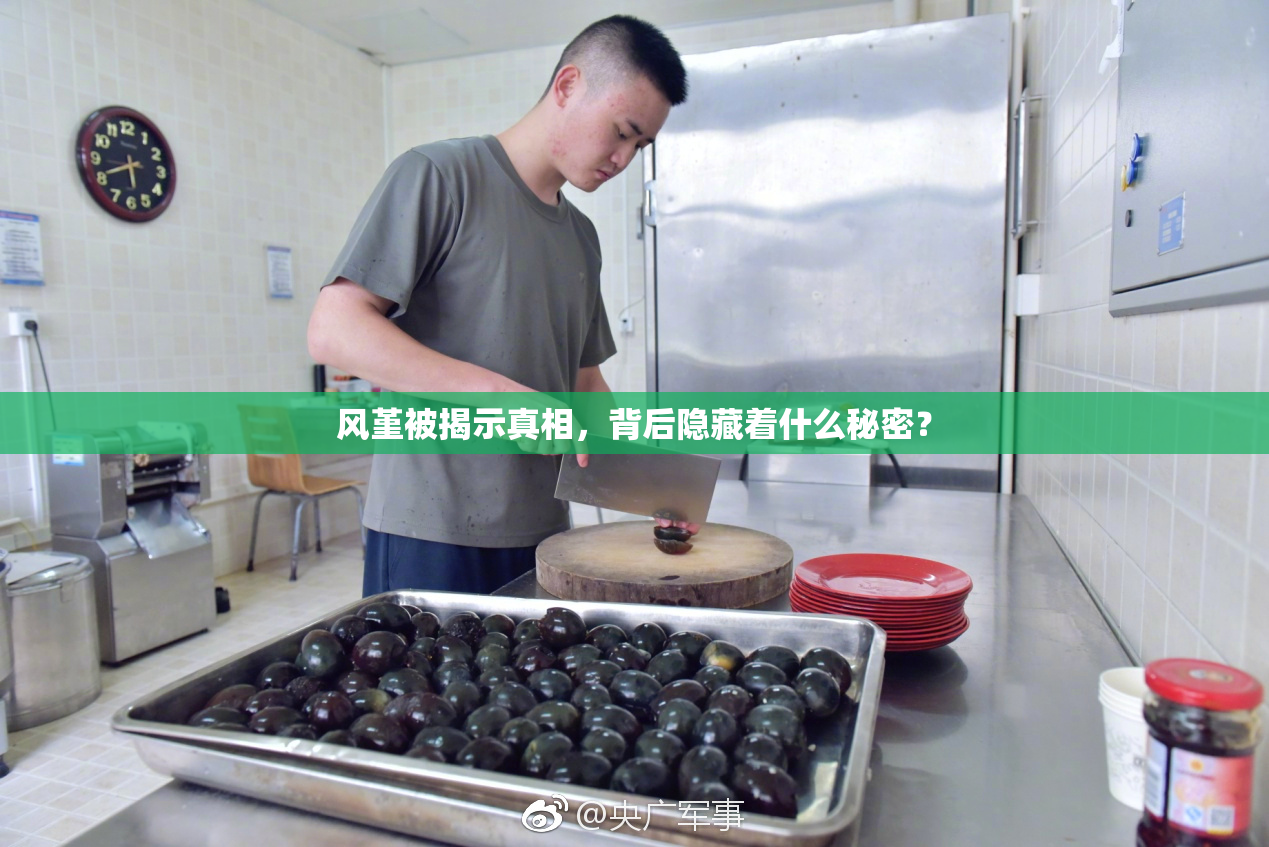 风堇被揭示真相，背后隐藏着什么秘密？