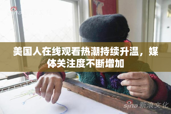 美国人在线观看热潮持续升温，媒体关注度不断增加