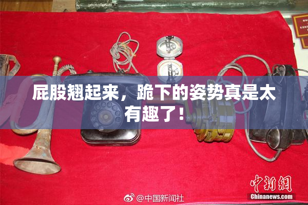 屁股翘起来，跪下的姿势真是太有趣了！