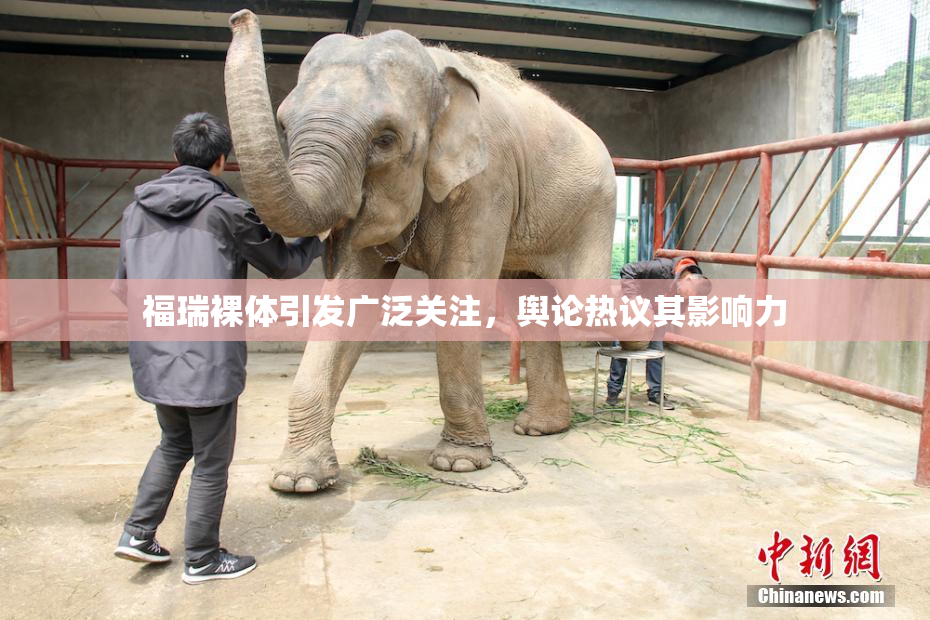 福瑞裸体引发广泛关注，舆论热议其影响力