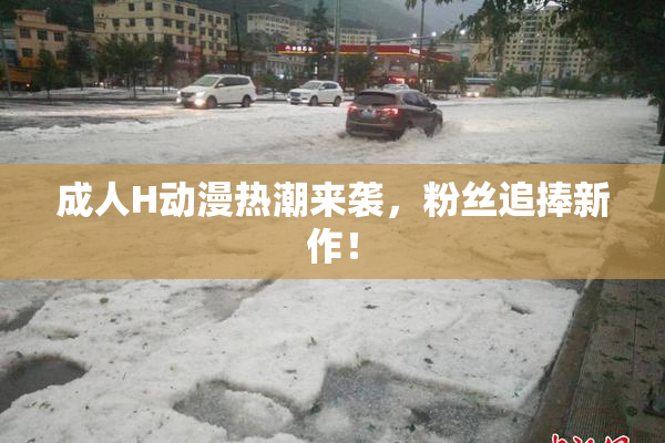成人H动漫热潮来袭，粉丝追捧新作！