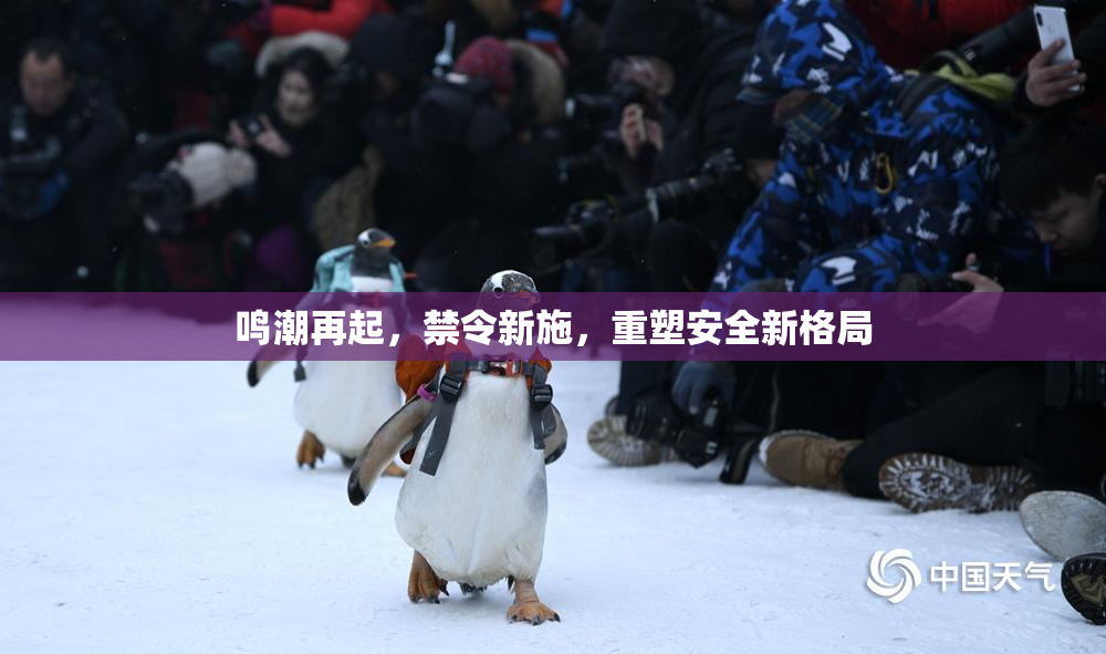 鸣潮再起，禁令新施，重塑安全新格局