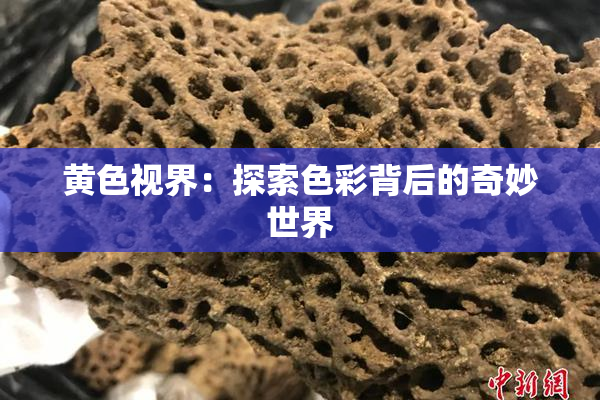 黄色视界：探索色彩背后的奇妙世界