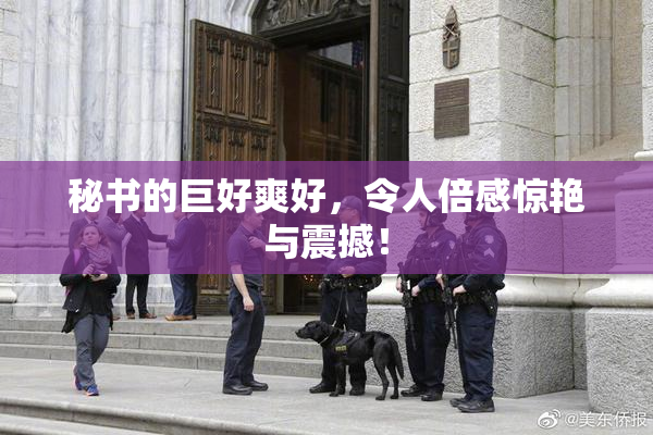 秘书的巨好爽好，令人倍感惊艳与震撼！