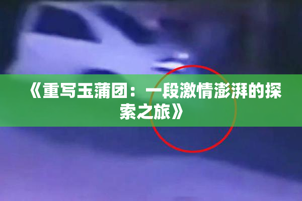 《重写玉蒲团：一段激情澎湃的探索之旅》
