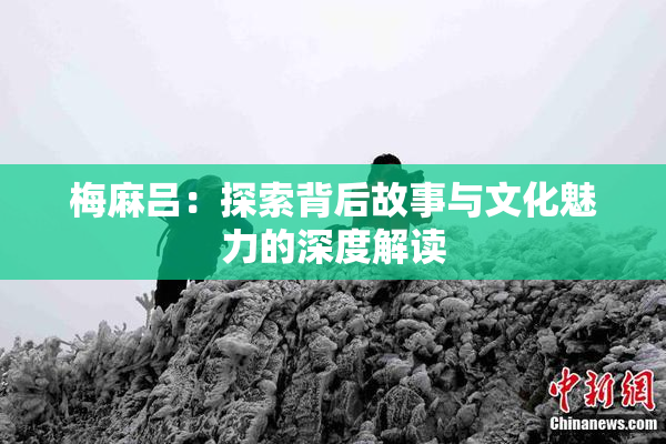 梅麻吕：探索背后故事与文化魅力的深度解读