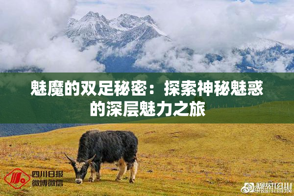 魅魔的双足秘密：探索神秘魅惑的深层魅力之旅
