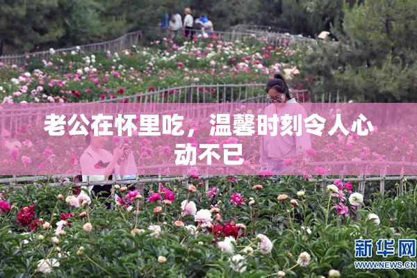 老公在怀里吃，温馨时刻令人心动不已