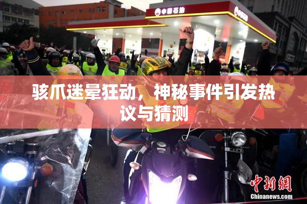 骇爪迷晕狂动，神秘事件引发热议与猜测