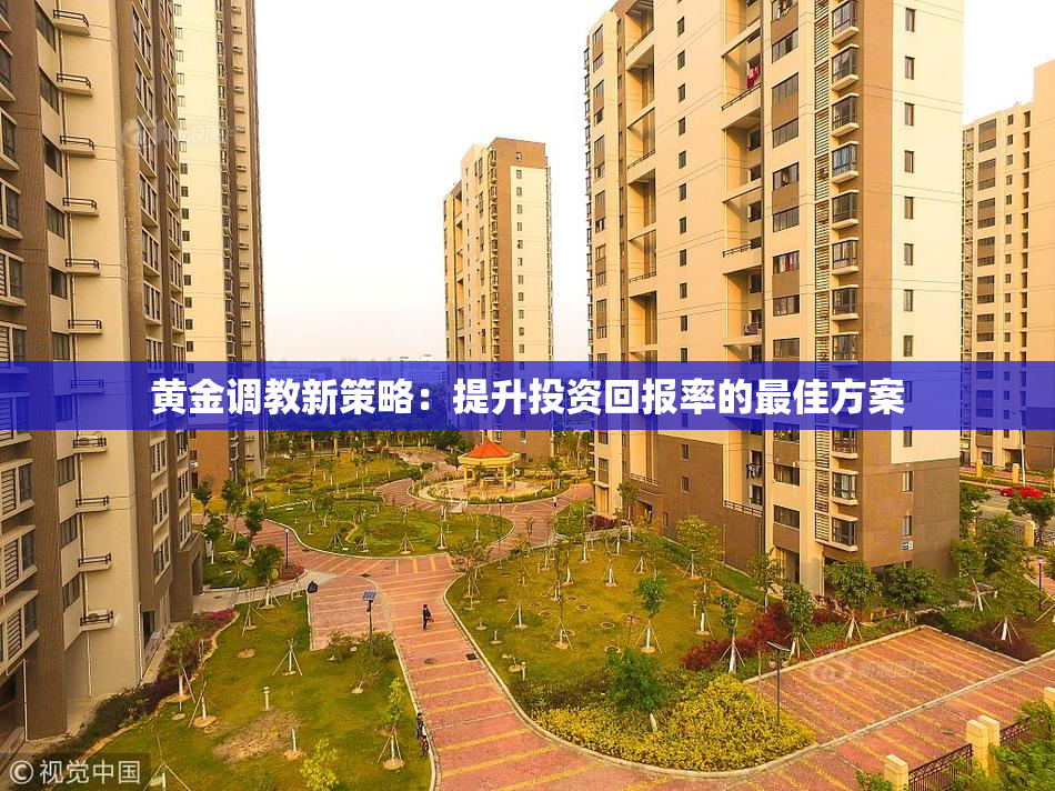 黄金调教新策略：提升投资回报率的最佳方案