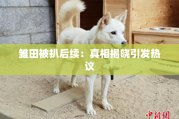 雏田被扒后续：真相揭晓引发热议