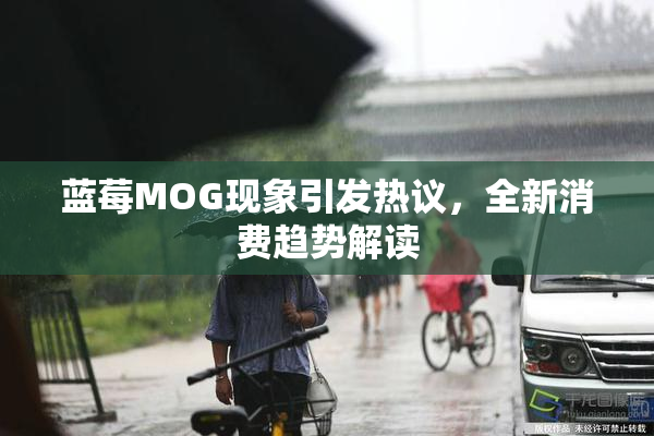 蓝莓MOG现象引发热议，全新消费趋势解读