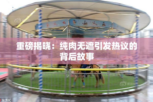 重磅揭晓：纯肉无遮引发热议的背后故事