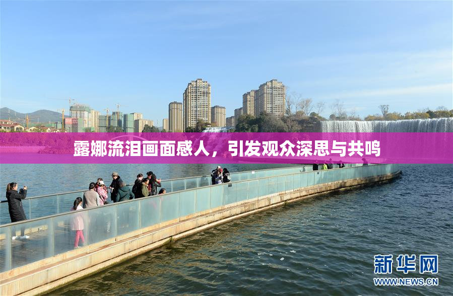 露娜流泪画面感人，引发观众深思与共鸣