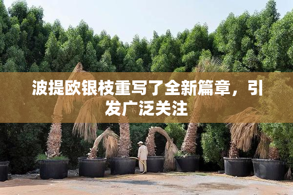 波提欧银枝重写了全新篇章，引发广泛关注
