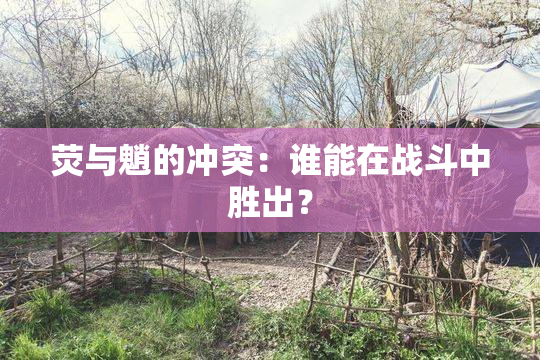 荧与魈的冲突：谁能在战斗中胜出？