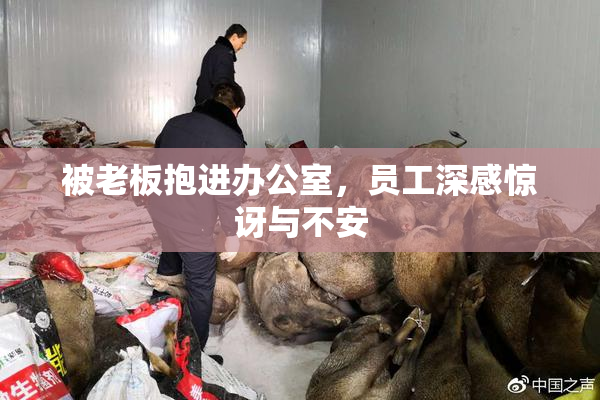 被老板抱进办公室，员工深感惊讶与不安