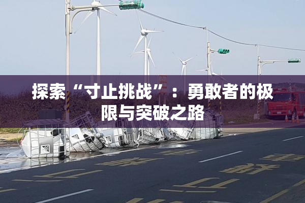 探索“寸止挑战”：勇敢者的极限与突破之路