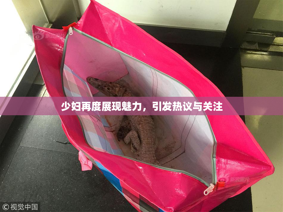 少妇再度展现魅力，引发热议与关注