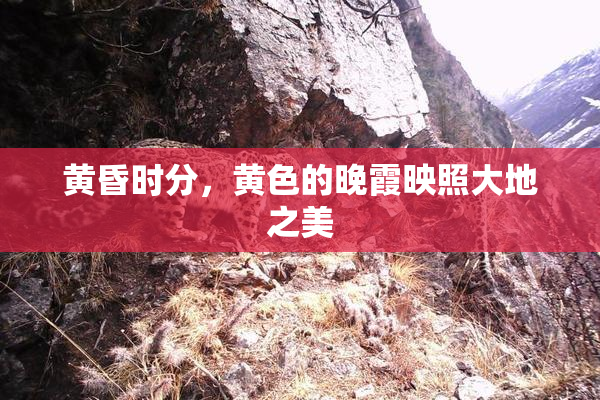 黄昏时分，黄色的晚霞映照大地之美